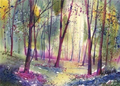 NATURAL PARTNERS ART Purple Trees - Fine Art Blank Greeting / Birthday Card Woods Bluebells Woodland