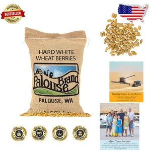 Bacche di grano senza glifosato certificate di marca 5 libbre - non OGM, lunga durata - Foto 1 di 10