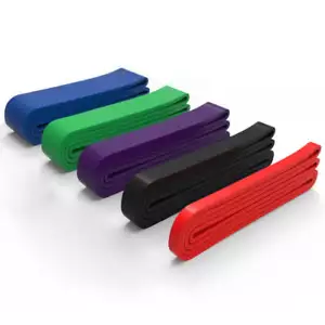 208cm Pilates Pull Rope Fitness Loop Crossfit Expander Rubber Resistance Bands T - Picture 1 of 19