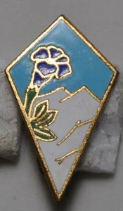 Reduziertes Abzeichen - 27. Alpeninfanterie Division d=26x16 mm alt Emaille - Bild 1 von 2