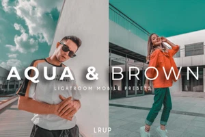 Aqua & Brown, 4 Premium Lightroom Mobile Presets - Picture 1 of 3