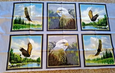 Majestic Eagle and Telas Hautman Country Quilting Treasures Kit Foto 1 de 4