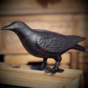 Primitive Large Realistic Decorative Cast Iron Raven Crow Black Bird Head Up - Picture 1 of 3
