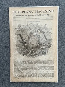 THE PENNY MAGAZIN FLASCHENMEISENNEST 15. DEZEMBER 1838 VINTAGE MAGAZIN - Bild 1 von 1