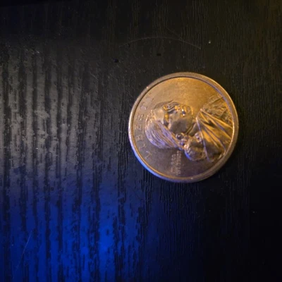 2009D Native American Sacagawea Dollar (Edge Lettering) | "Three Sisters" - Image 1 of 4
