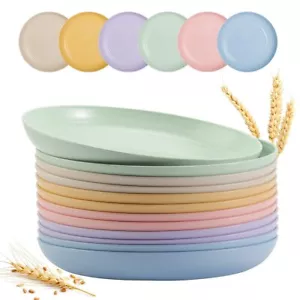 12 Pack 9 Inch Lightweight Wheat Straw Plates Unbreakable Deep Dinner Plates Pla - Picture 1 of 7