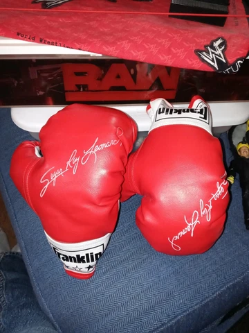 Franklin SUGAR RAY LEONARD Youth Kids Size Boxing Gloves CLEAN LOOKS NEW Cover