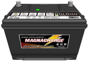 MAGNACHARGE BATTERY EXCHANGE MS34750 Vehicle Battery - Picture 1 of 4