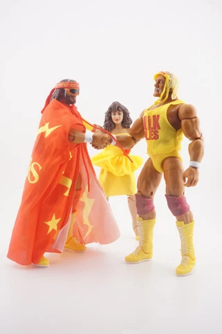 WWE Elite Mega Powers Hulk Hogan & Macho Man + Elite Series 77 Miss Elizabeth Cover