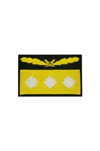 Seconda guerra mondiale tedesco Elite Oberstgruppenfuhrer manica mimetica rango - Foto 1 di 1