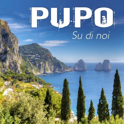 Pupo: Su Di Noi: I Successi Di Pupo (CD) Neu & OVP - Bild 1 von 2