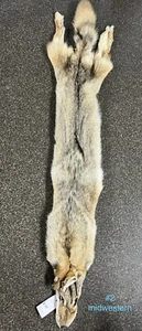 tanned coyote pelt hide - Picture 1 of 2