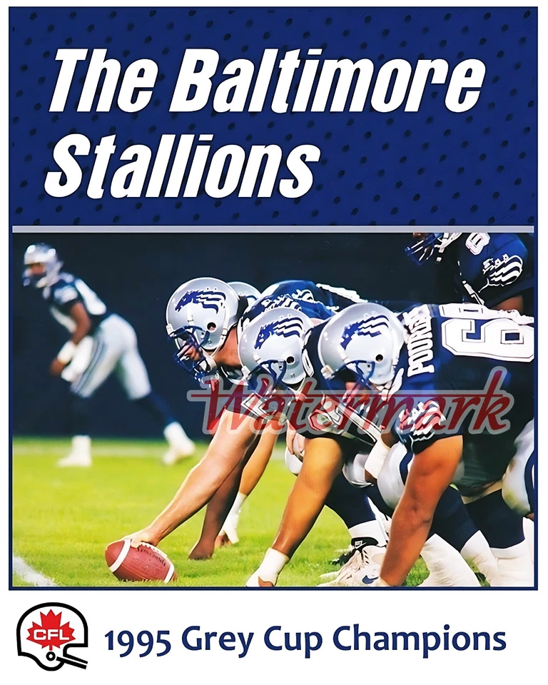 CFL 1995 Grey Cup Champion Baltimore Stallions O Line Color 8 X 10 Photo Picture - Image 1 of 1