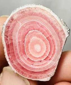 13.89g Rhodochrosite Polished Stalactite Pink Bullseye Argentina 30mm - Picture 1 of 5