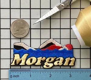 Female Swimming Patch Personalized Custom Iron-on Badge - Picture 1 of 1