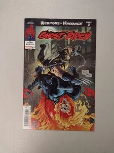 GHOST RIDER 17 STEGMAN VARIANT HELLVERINE CAMEO Bundle and Save - Picture 1 of 2