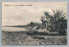 Lake Timsah ISMAILIA Egypt ~ Antique Costi Damilacos Postcard 1910s