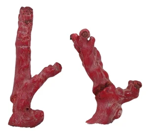 306 gramos dos 6 pulgadas 4 9/10 pulgadas teñido coral rojo rama espécimen CB8/121324 - Imagen 1 de 4