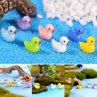 High Quality Toy Duck Toy 100pcs Accessories Animal Decorations Dolls Garden