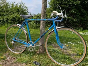 Vintage Retro Alec Bird Racing Bicycle 22.5inch Frame Stunning Bike Brooks - Picture 1 of 10