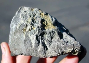 Dinosaur Shin (Leg) Bone • 1 lb.  3 oz. • Albany Co. Wyoming - Picture 1 of 8