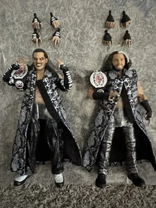 Figuras completas sueltas de Jazwares The Vault The Hardy Boyz Jeff Matt Hardy WWE - Imagen 1 de 8
