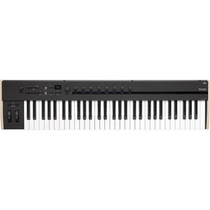 Korg Keystage 61 Poly AT MIDI Keyboard Controller - Picture 1 of 9