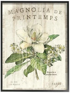 Stupell Industries French Magnolias In Spring Oversized Framed Giclee Texturi... - Picture 1 of 10