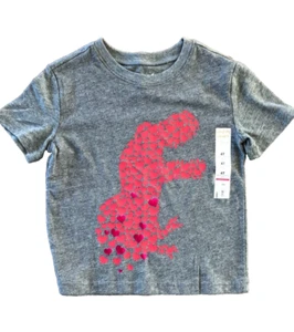Jumping Beans Toddler Boy Dino Heart Gray T-Shirt Size 4T (A1) - Picture 1 of 2