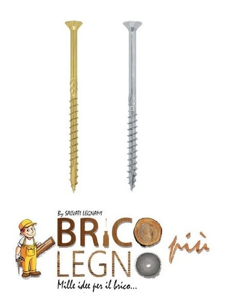 2Viti torx Ø 6 - 100 pz. per legno FM-WOOD PRO TPS portante uso professionale - Immagine 1 di 1