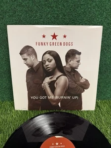 Funky Green Dogs - You Got Me (Burnin' Up) - 12 Inch Single LP - Picture 1 of 5