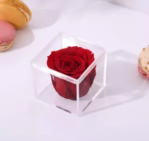Rosa única en caja en una pequeña caja de acrílico rosa real que dura un año regalo - Imagen 1 de 3