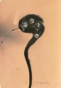 Tonito Original art Chemigram.KODAK Silver RC Paper.Alternative photography 38 - Picture 1 of 2