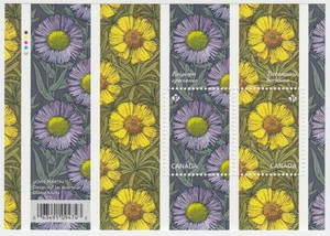 Canada - #2976 Daisies Souvenir Sheet (Flowers) - MNH - Picture 1 of 1
