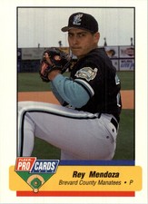 1994 Brevard County Manatees Fleer/ProCards #6 Rey Mendoza