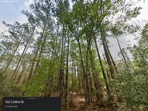 For Sale: Vacant Land – Interlachen, Putnam County, Fl - Picture 1 of 14