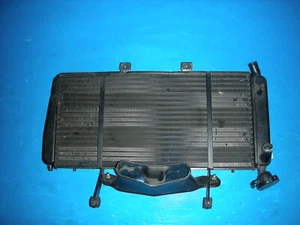 RADIATORE ACQUA TRIUMPH SPRINT 1050 - Imagen 1 de 6