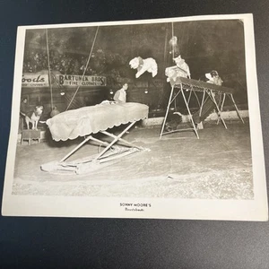 Vtg 1940-50s Sonny Moore's Roustabouts Trained Dog Circus Show Performer Photo - Picture 1 of 6