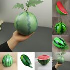 Multi Purpose Artificial Watermelon Model Decorate with Style and Elegance