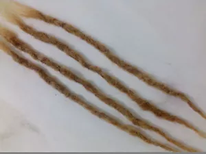 100% Human Hair Locks handmade 10 pices up to 10''  small Blonde virgin ssoft - Picture 1 of 3