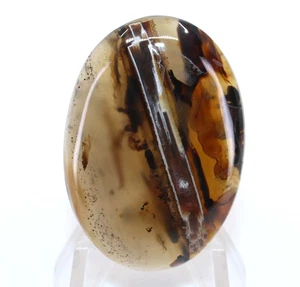 61.70Ct Natural Turkish Stick Agate Oval Cabochon Loose Gemstone 40x28x6mm - Picture 1 of 2