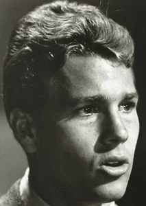 RYAN O’NEILL-Peyton Place-Rodney Harrington-1960s ABC TV Publicity Portrait - Picture 1 of 5