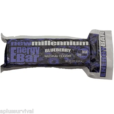 SOS FOOD LABS 10 Pack Blueberry New Millennium Survival Emergency Energy Food Bar MRE Rations
