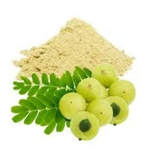 Amla Powder Extract Churna Emblica officinalis Indian Gooseberry Herbs - Picture 1 of 2
