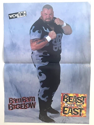 Póster Pinup de Lucha Libre WCW Doble Cara Bam Bigelow & Scott Steiner 11.5x16 Foto 1 de 2