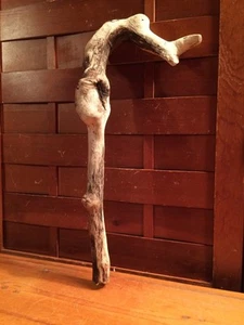 Schönes 14" TREIBHOLZ Kunstwerk Terrarium Taxidermie Aquarium Strand Holz DEKOR - Bild 1 von 9