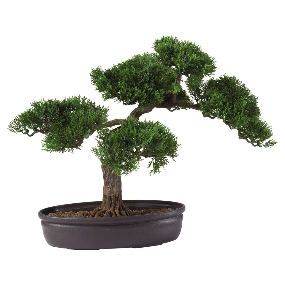 Cedar Bonsai 16" Silk Plant Nearly Natural Faux Silk Artificial Bonsai tree - Image 1 of 1