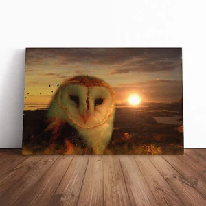 Owl And Sunset Landscape Canvas Wall Art Print Framed Picture Decor Living Room - Picture 1 of 7
