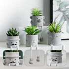 Cute Hanging Leg Bear Cement Potted Succulents for Desk and Office Decoration