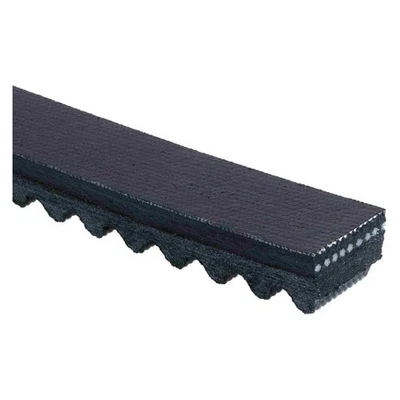 Acdelco T24461 Accessory Drive Belt - Image 1 of 4